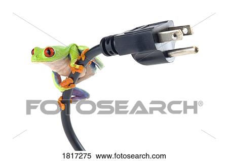Red Eyed Tree Frog on electrical cord View Large Photo Image Stock Photography - Red Eyed Tree Frog on electrical cord. Fotosearch
