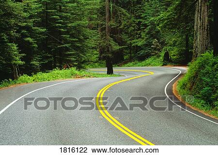 Stock Image - Road through redwood forest, Jedediah Smith Redwoods State Park, California, USA. Fotosearch