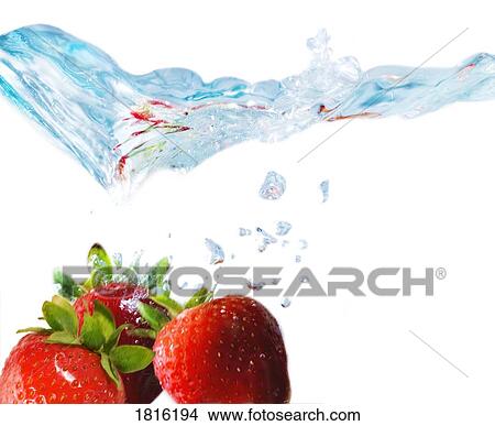 Strawberries underwater View Large Photo Image Picture - Strawberries underwater. Fotosearch