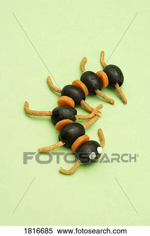 Studio shot of food shaped as caterpillar View Large Photo Image Stock Photography - Studio shot of food shaped as caterpillar. Fotosearch