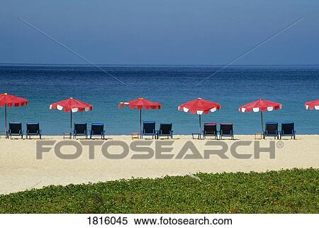Umbrellas and chairs on tropical beach in Phuket, Thailand View Large Photo Image Stock Photography - Umbrellas and chairs on tropical beach in Phuket, Thailand . Fotosearch