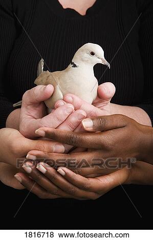 Stock Photo - Women holding a dove. Fotosearch