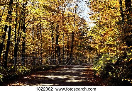 Stock Image - A road in Vermont, New England, USA. Fotosearch