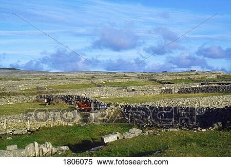 Aran Islands, Inishmore, Ireland View Large Photo Image Stock Photography - Aran Islands, Inishmore, Ireland. Fotosearch