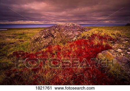 Arctic nature View Large Photo Image Stock Image - Arctic nature. Fotosearch