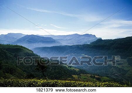 Beautiful mountain scene, Sri Lanka View Large Photo Image Stock Photo - Beautiful mountain scene, Sri Lanka. Fotosearch