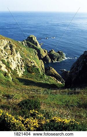 Picture - Channel Islands, Guernsey. Fotosearch