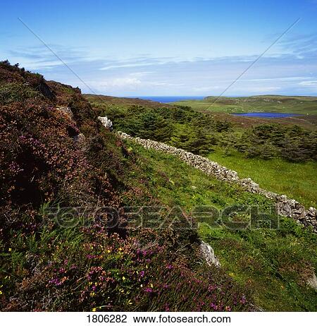 Co Antrim, Rathlin Island, Ireland View Large Photo Image Stock Image - Co Antrim, Rathlin Island, Ireland. Fotosearch