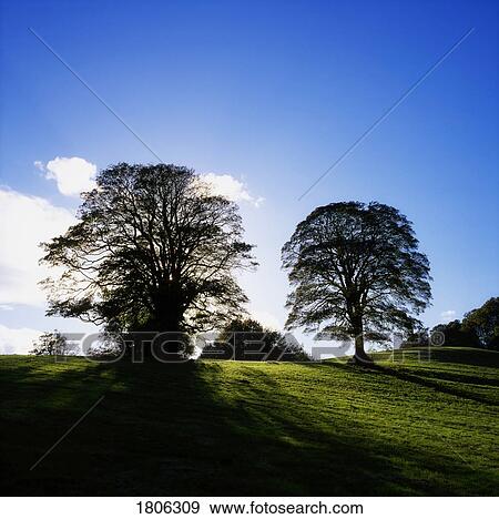 Co Armagh, Navan Fort, Ireland View Large Photo Image Stock Photo - Co Armagh, Navan Fort, Ireland. Fotosearch