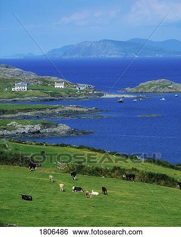 Co Cork, Garinish Island, Beara Peninsula, Ireland View Large Photo Image Stock Photograph - Co Cork, Garinish Island, Beara Peninsula, Ireland. Fotosearch