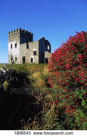 Hotels near JB Gallery, Skibbereen on Tripadvisor: Find 15673 traveler reviews, 2779 candid photos, and prices for 30 hotels near JB Gallery in Skibbereen, Ireland. door and around the back. Very historic building dating from about 1790. THE 10 CLOSEST Hotels to JB Gallery, Skibbereen