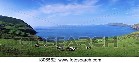 Stock Image - Co Kerry, Dingle Peninsula, Slea Head & Blasket Islands, Ireland. Fotosearch