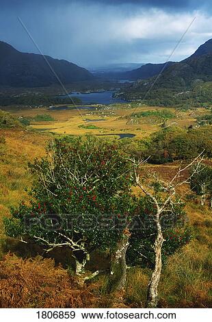 Stock Photo - Co Kerry, Ladies View, Ireland. Fotosearch