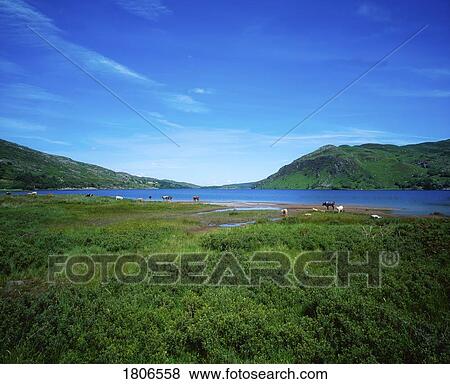 Co Kerry, Lough Caragh, Ireland View Large Photo Image Stock Photo - Co Kerry, Lough Caragh, Ireland. Fotosearch