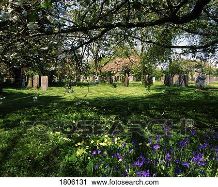 Stock Image - Co Laois, Rosenallis, 1700 Quaker graveyard, oldest in Ireland. Fotosearch