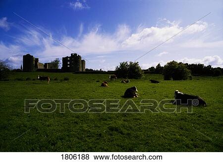 Co Roscommon, Roscommon Castle, Ireland View Large Photo Image Stock Photo - Co Roscommon, Roscommon Castle, Ireland. Fotosearch