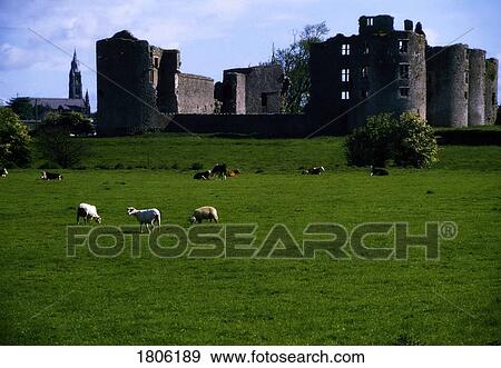 Stock Photo - Co Roscommon, Roscommon Castle, Ireland. Fotosearch
