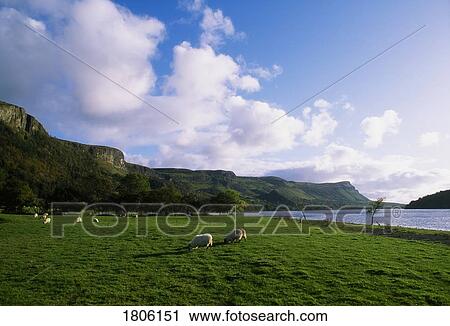 Co Sligo, Glencar Lake, Ireland View Large Photo Image Stock Image - Co Sligo, Glencar Lake, Ireland. Fotosearch