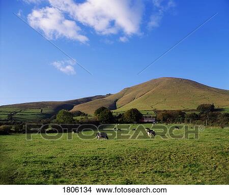 Picture - Co Tipperary, The Galtee Mountains near Anglesborough, Ireland. Fotosearch
