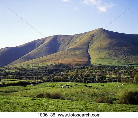 Stock Photography - Co Tipperary, The Galtee Mountains, near Anglesborough, Ireland. Fotosearch