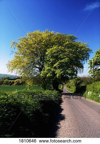 Stock Photograph - Country Road, Balloughry near Derry City, Ireland. Fotosearch