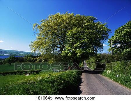 Stock Photography - Country Road, Balloughry near Derry City, Ireland. Fotosearch
