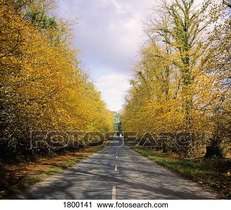 Stock Image - Country Road, Near Dundrum, County Tipperary, Ireland. Fotosearch