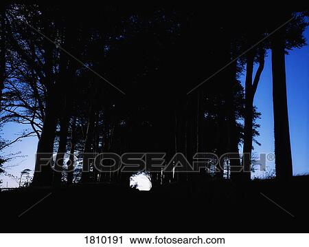 Stock Image - Country road near Kilmacthomas, Co Waterford, Ireland. Fotosearch