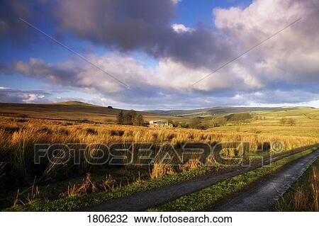 County Antrim rural field View Large Photo Image Stock Image - County Antrim rural field. Fotosearch