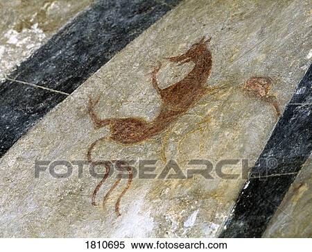 Stock Photography - Dragon on a Cistercian abbey ceiling, Clare Island, County Mayo, Ireland. Fotosearch