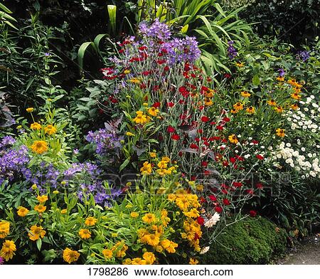 Stock Photograph - English style Garden, Ireland. Fotosearch