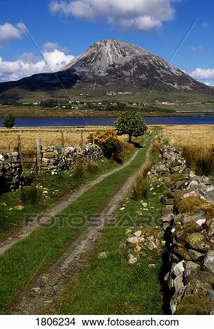 Picture - Errigal mountain, County Donegal, Ireland. Fotosearch
