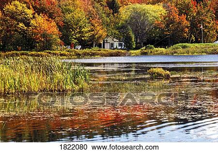 Fall pond View Large Photo Image Stock Image - Fall pond. Fotosearch