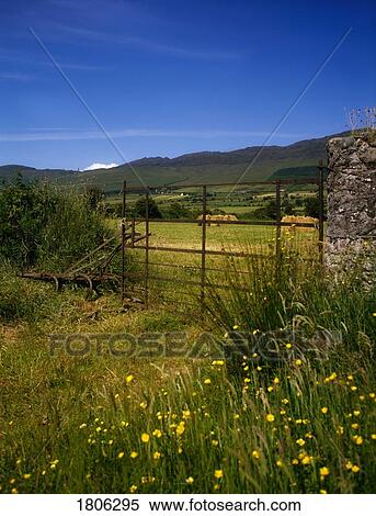 Farm gates, Cooley Peninsula, Co Louth, Ireland View Large Photo Image Stock Photography - Farm gates, Cooley Peninsula, Co Louth, Ireland. Fotosearch