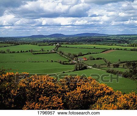 Stock Photo - Farmland near Derravaragh, Co Westmeath, Ireland. Fotosearch
