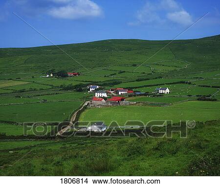 Picture - Farmland near Dingle, Co Kerry, Ireland. Fotosearch