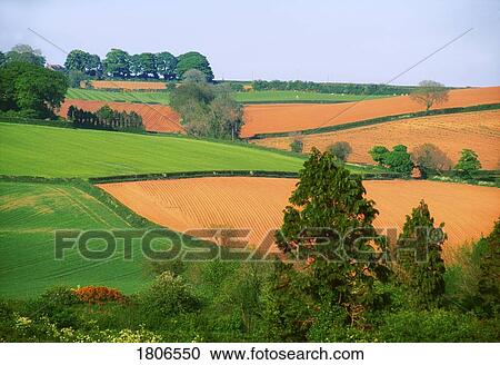 Stock Image - Farmscape near Newtownards, Co Down, Ireland. Fotosearch