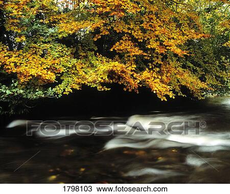 Fast flowing water and fall colours View Large Photo Image Stock Image - Fast flowing water and fall colours. Fotosearch