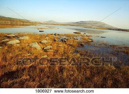 Stock Photo - Flooded marsh, Ireland. Fotosearch
