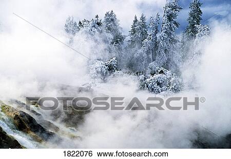 Stock Photograph - Fog surrounded trees. Fotosearch