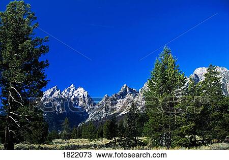 Stock Image - Grand Tetons, Wyoming, USA. Fotosearch