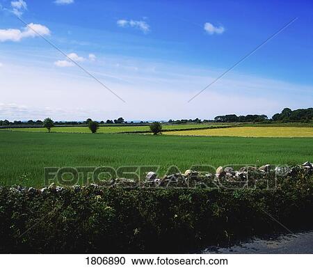Green fields of Athenry, County Galway, Ireland View Large Photo Image Stock Image - Green fields of Athenry, County Galway, Ireland. Fotosearch