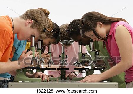 Group of teens looking into microscopes View Large Photo Image Stock Photo - Group of teens looking into microscopes. Fotosearch