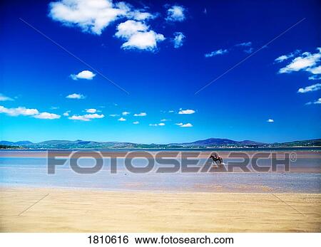 Stock Photograph - Horseback rider on the Kinnegar Strand, Co Donegal, Ireland. Fotosearch