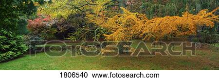 Stock Image - Irish Garden. Fotosearch