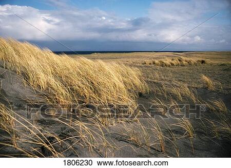 Stock Image - Irish Islands, Inishmaan, County Galway, Ireland. Fotosearch