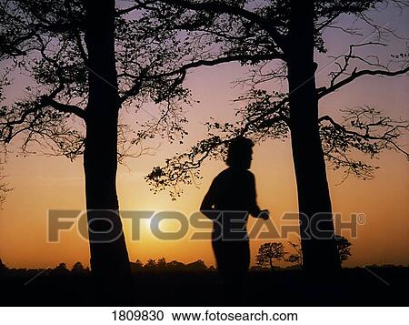 Jogging, The Phoenix Park, Dublin, Ireland View Large Photo Image Stock Image - Jogging, The Phoenix Park, Dublin, Ireland. Fotosearch