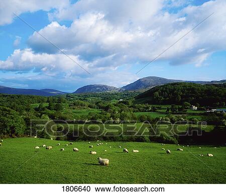 Kilgarvan, Co Kerry, Ireland View Large Photo Image Stock Image - Kilgarvan, Co Kerry, Ireland. Fotosearch