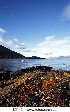 Picture - Lake in Highlands, Scotland. Fotosearch