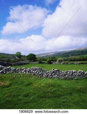 Meadows near Fanore, Burren, Ireland View Large Photo Image Stock Photo - Meadows near Fanore, Burren, Ireland. Fotosearch